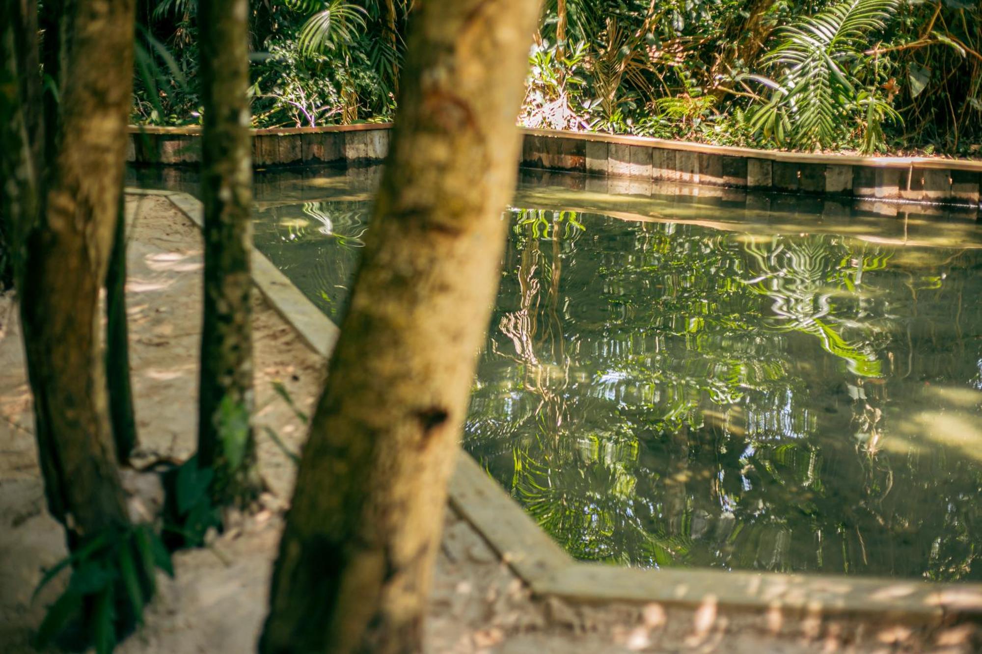 Pousada E Restaurante Amazonia Alter do Chao Zewnętrze zdjęcie