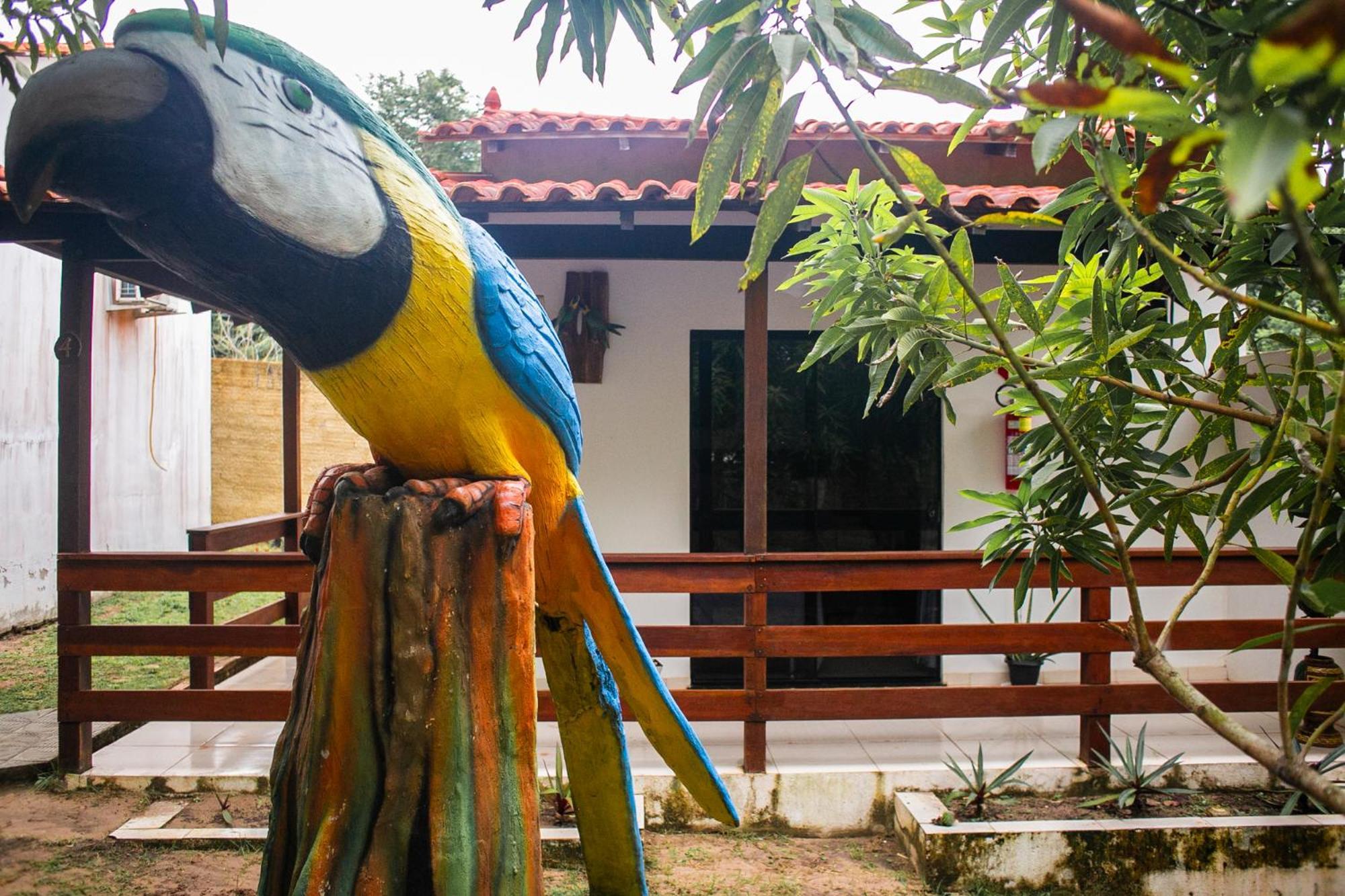 Pousada E Restaurante Amazonia Alter do Chao Zewnętrze zdjęcie